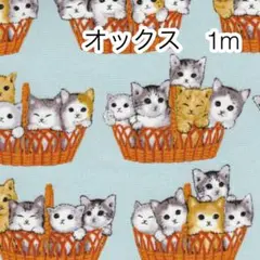 1m かご猫 サックスブルー オックス