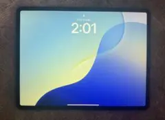 【美品】iPadPro 第三世代 1TB バッテリー状態93%