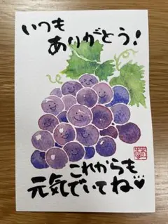 敬老の日などに♪ ぶどうイラストのポストカード 感謝のメッセージ付き