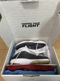 NIKE AIR JORDAN 2011