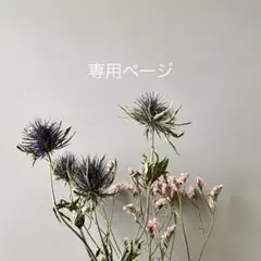 ロシアンブルー様⁎⁺˳