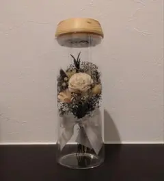 Calon カロン　ドライフラワー インテリア照明 ギフトボックス付き