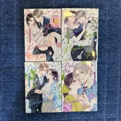 溺愛前提、契約婚。 ～岩代弁護士は愛がデカすぎる!?～ 1巻〜4巻セット