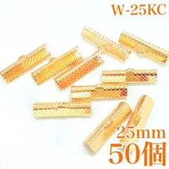 Item thumbnail for item 6f1fc9ca-e6c1-4579-b534-f5f577c2f713