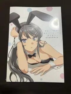 【新品未開封】 青春ブタ野郎は制作メイキングの夢を見ない 総作画監督修正集