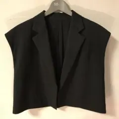 エイチH woolショートベスト