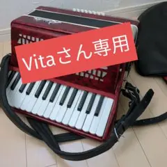 2025年最新】BAI-LE アコーディオンの人気アイテム - メルカリ