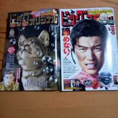 ビッグコミック、ビッグコミックオリジナル　２冊