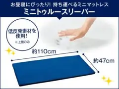 新品未開封　トゥルースリーパー ごろ寝マット
