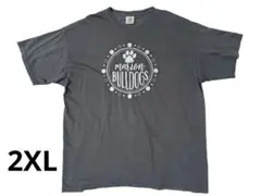 US古着 Tシャツ 2XL COMFORT COLORS