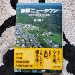 限界ニュータウン
