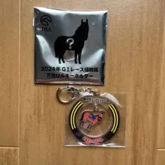 日本ダービー　ウエルカムチャンス賞　アクリルキーホルダー welcomeチャンス ダノンデサイル アクリルキーホルダー 競馬 JRA