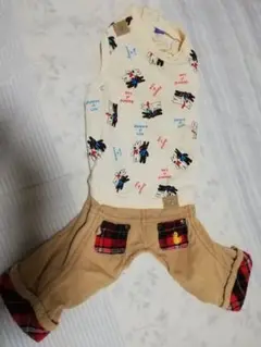 Item thumbnail for item 381a913b-876d-4587-bc07-39a9341a5f48