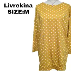 Item thumbnail for item 29821907-b59a-4591-b2d0-5c0d832e3f08