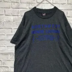 USA製90sヴィンテージTシャツ！シングルステッチ　グレー半袖古着　XL 16
