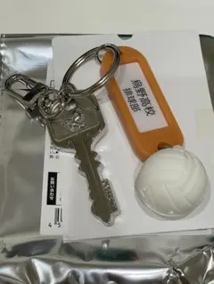 ハイキュー!! トレーディング高校名付き鍵チャームキーホルダー 烏野