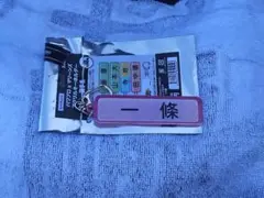 千葉ロッテマリーンズ パワプロマリーンズ アクリルキーホルダー