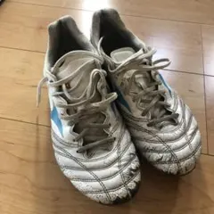 モナルシーダネオ2JAPAN