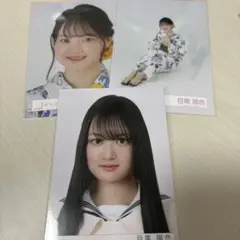 目黒陽色　まとめ売り
