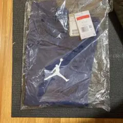 Jordan Lサイズ Tシャツ Jumpmanロゴ