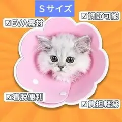 Item thumbnail for item 9fbdcf59-d446-434c-ae66-a48522025047