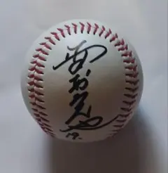 名球会ロゴ入り。元南海。野村克也氏直筆サインボール
