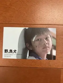 映画 「野。良犬」 1週目入場者特典　SEVENTEEN ジュン