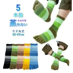 Item thumbnail for item c3508956-8ab1-41b9-8016-8534f1a9a6ab