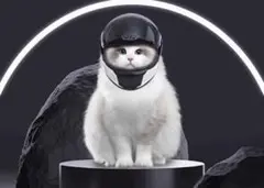 Item thumbnail for item 029c127b-d532-43bc-9658-1012b659201e