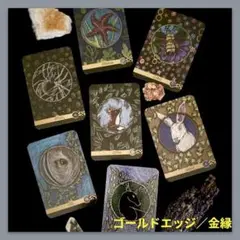 海外美麗カードデッキ✨神秘的な動物たちのオラクルカード✨入手困難品