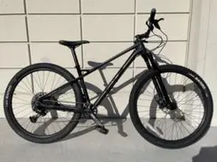 GT ザスカーカーボンコンプ2020年モデル Mサイズ