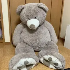 コストコ くま 135cm