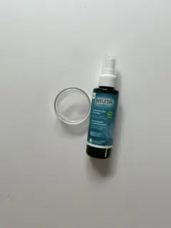 Item thumbnail for item fea53941-6c21-44dd-bade-fdc336e5f546