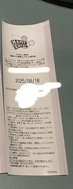 東京ディズニーランド　ハッピーエントリー