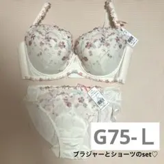 アモスタイル トリンプ G75 セット