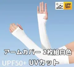 Item thumbnail for item 1cf0ad2b-021d-44a6-8735-61edc316ef82