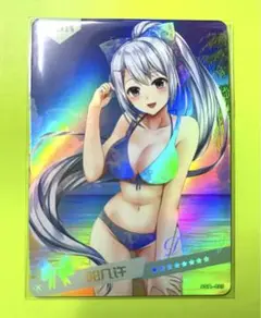 ACGセクシー水着美少女レインボーカードNo.162