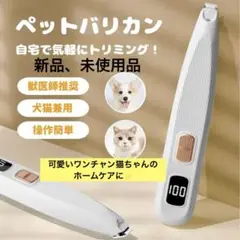 Item thumbnail for item da31ad08-d854-47f6-b9fe-a9a36edc043e