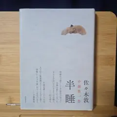 半睡