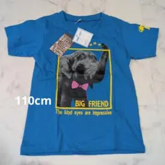 110cm 象プリント Tシャツ 綿100%