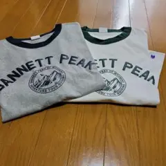 GANNETT PEAK Tシャツ 2枚セット