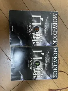 白鯨 (Moby Dick) 全2巻セット