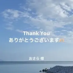 おさら様 リクエスト 2点 まとめ商品