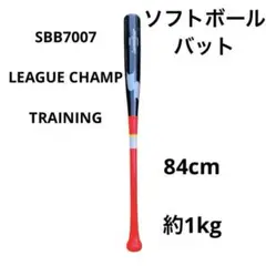 Item thumbnail for item 8cbb5044-95aa-453d-b34e-a30c0e56b9b4