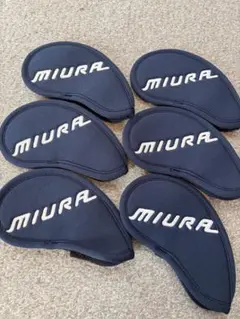 Item thumbnail for item 622bb045-910f-489e-a96b-aa1359cdde10