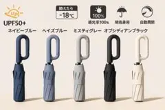 Item thumbnail for item 1134ceee-a628-4127-9622-b0fa60fff22a
