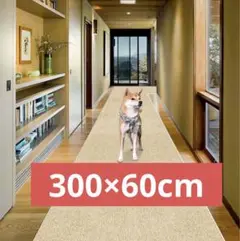 Item thumbnail for item 170ee00b-cda8-4b18-bc1c-253e397596fd