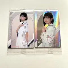 Item thumbnail for item 47a686a2-6253-4252-bd86-6e62ac64d506