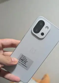 OnePlus 13t