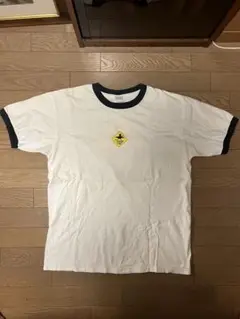 anvil サーフィン Tシャツ Lサイズ